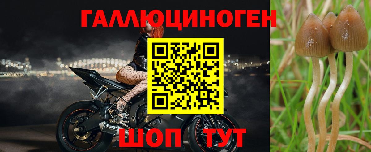 Псилоцибиновые грибы GOLDEN TEACHER  Вход с VPN  Галлюциногенные грибы прущие грибы  Саянск 